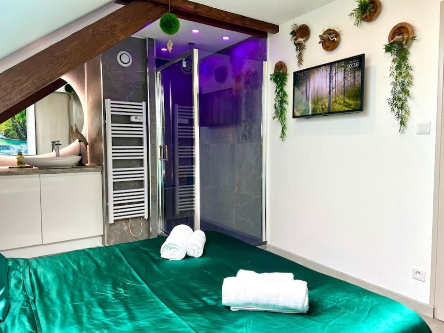 Natural Suite - Proche Gare - 4P Belfort Extérieur photo